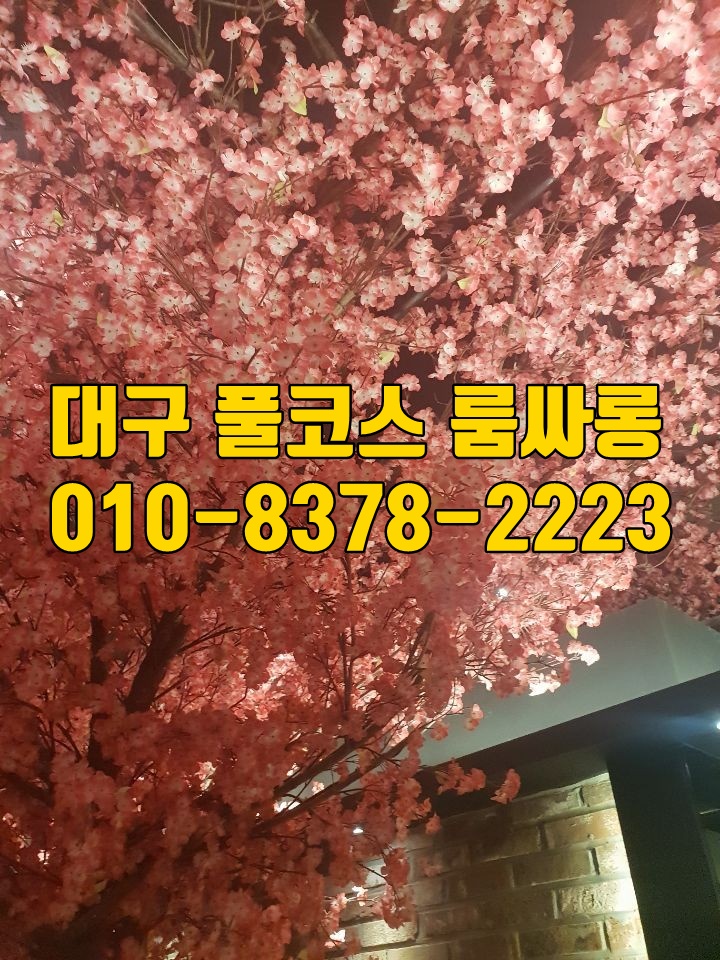 대구풀싸롱견적